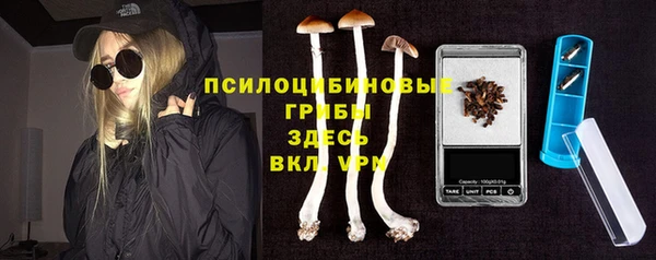 эйфоретик Алексеевка