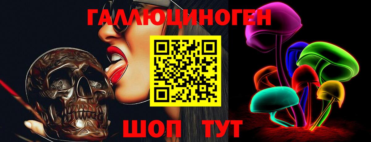 Галлюциногенные грибы Psilocybine cubensis Углич